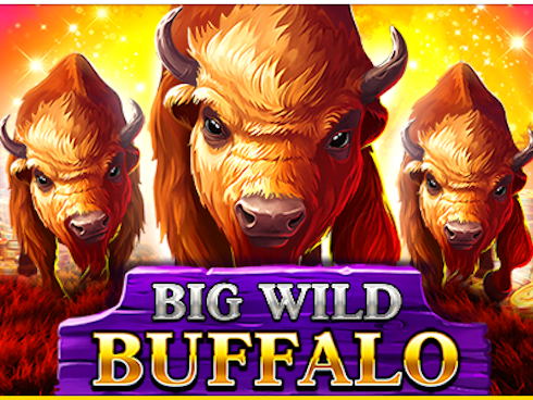 Big Wild Buffalo