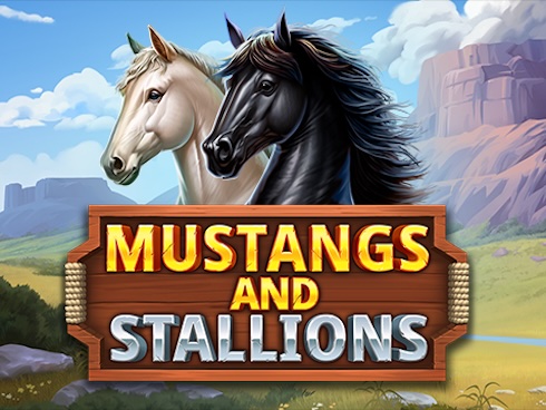 Mustangs and Stallions