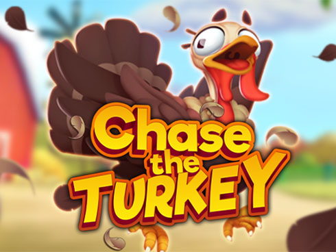 Chase The Turkey