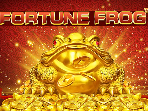 Fortune frog