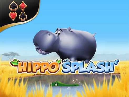 Hippo Splash