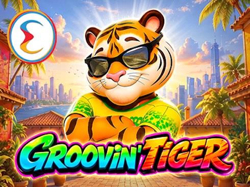 Groovin Tiger