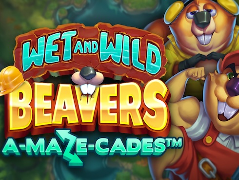 Wet and Wild Beavers
