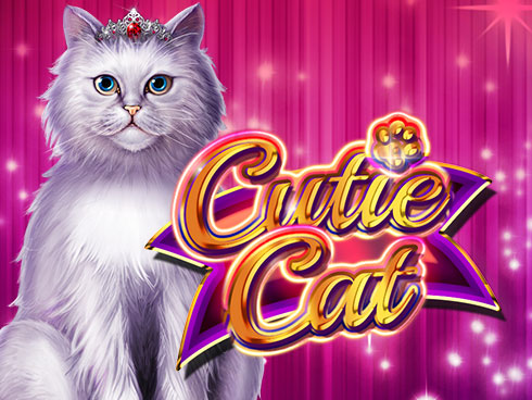 Cutie Cat Review