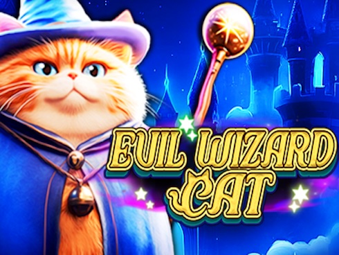 Evil Wizard Cat