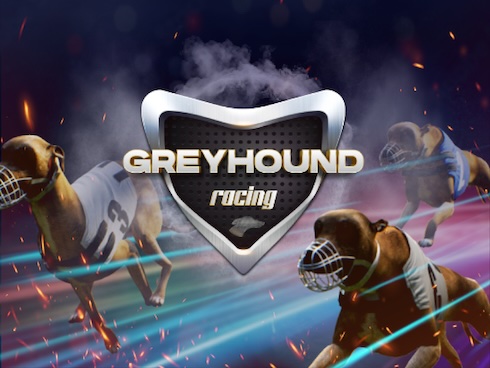 Greyhound Racing