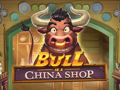 Bull in a China Shop Review