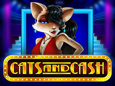 Cats and Cash Review