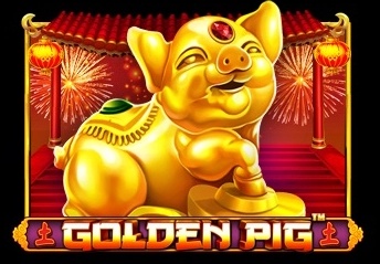Golden Pig