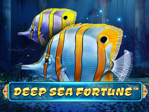 Deep Sea Fortune Review