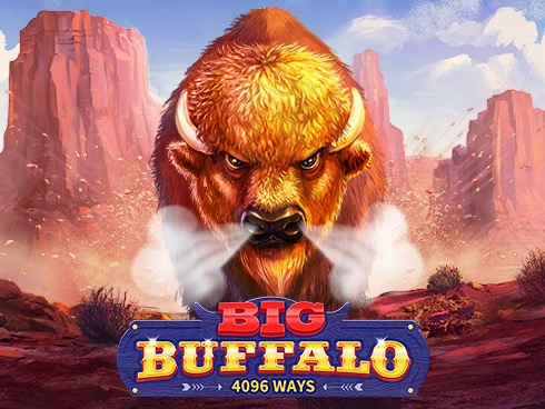 Big Buffalo