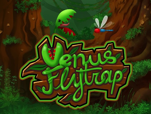 Venus Flytrap